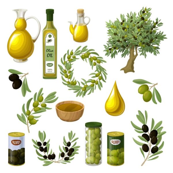 Olive Oil - Image 5