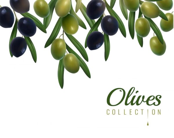 Olives - Image 4